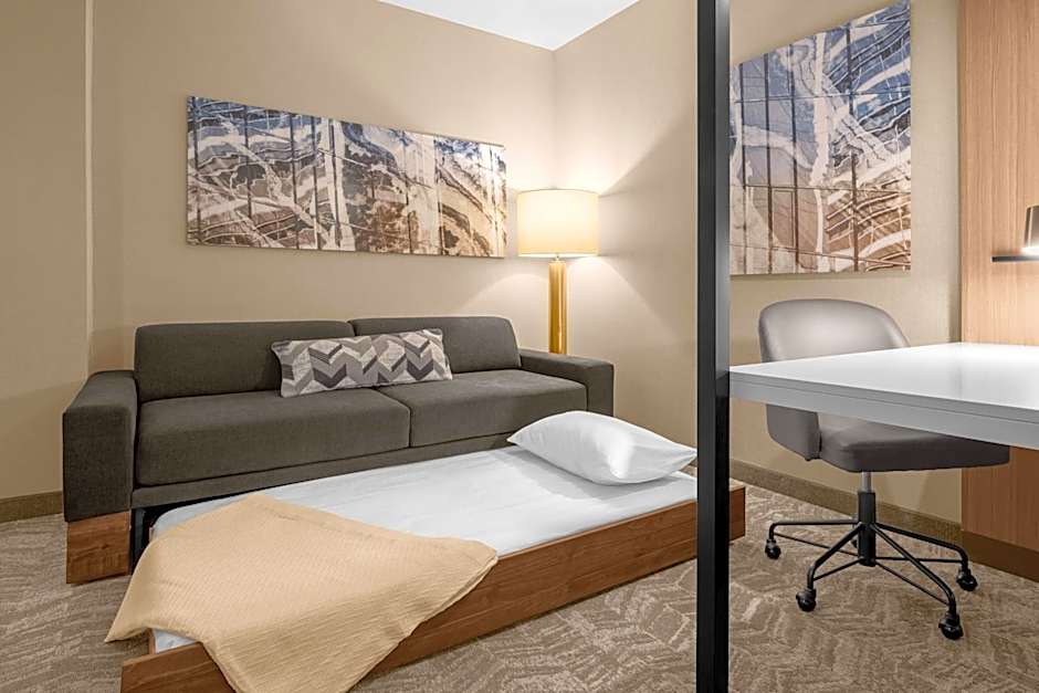 SpringHill Suites by Marriott Jackson