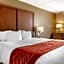 Comfort Inn & Suites Triadelphia - Wheeling