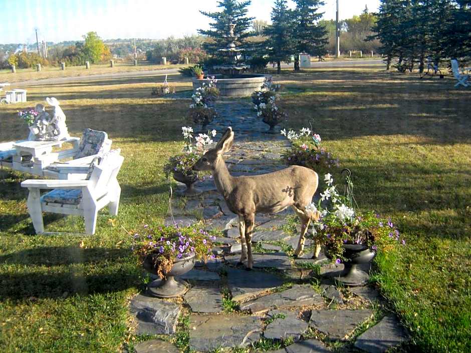 Wakamow Heights Bed and Breakfast