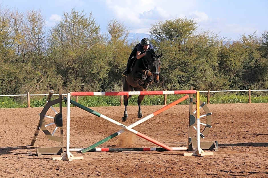 La Vie En Rose - Horses & Dogs House