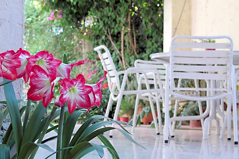 Paradise Departamentos