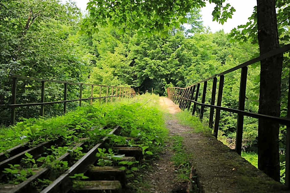 Domki w Smolniku z możliwością apiterapii