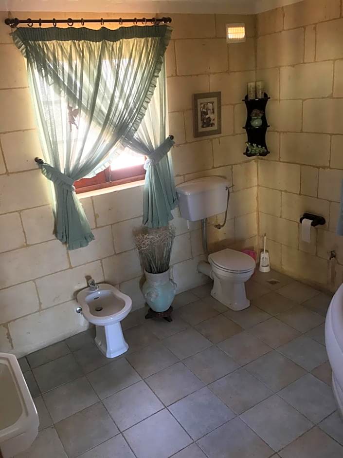 La Fenice by Giancarlo