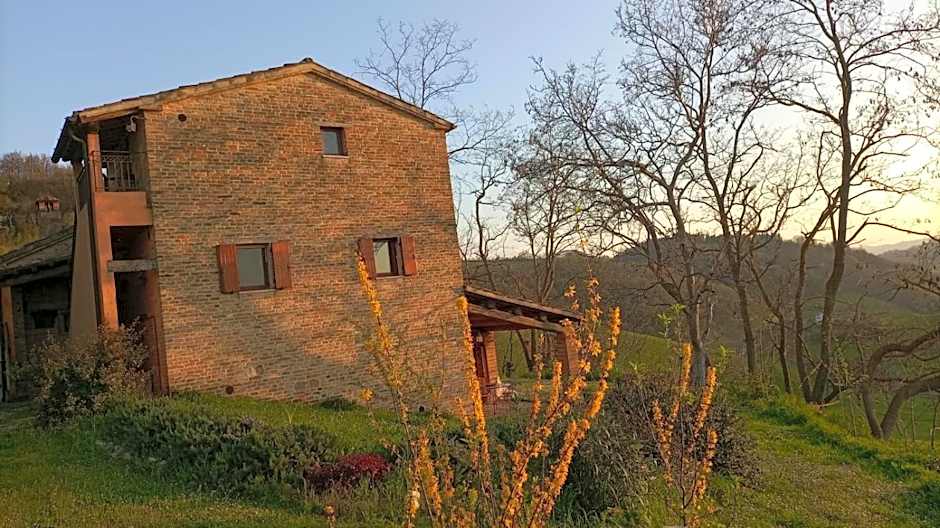 Piccolo Gesto d'Affetto