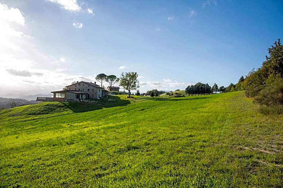 Aura Relais