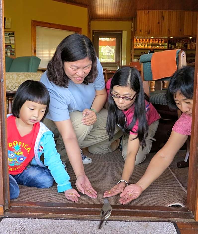 Pumula Lodge 4 Star Guesthouse Knysna