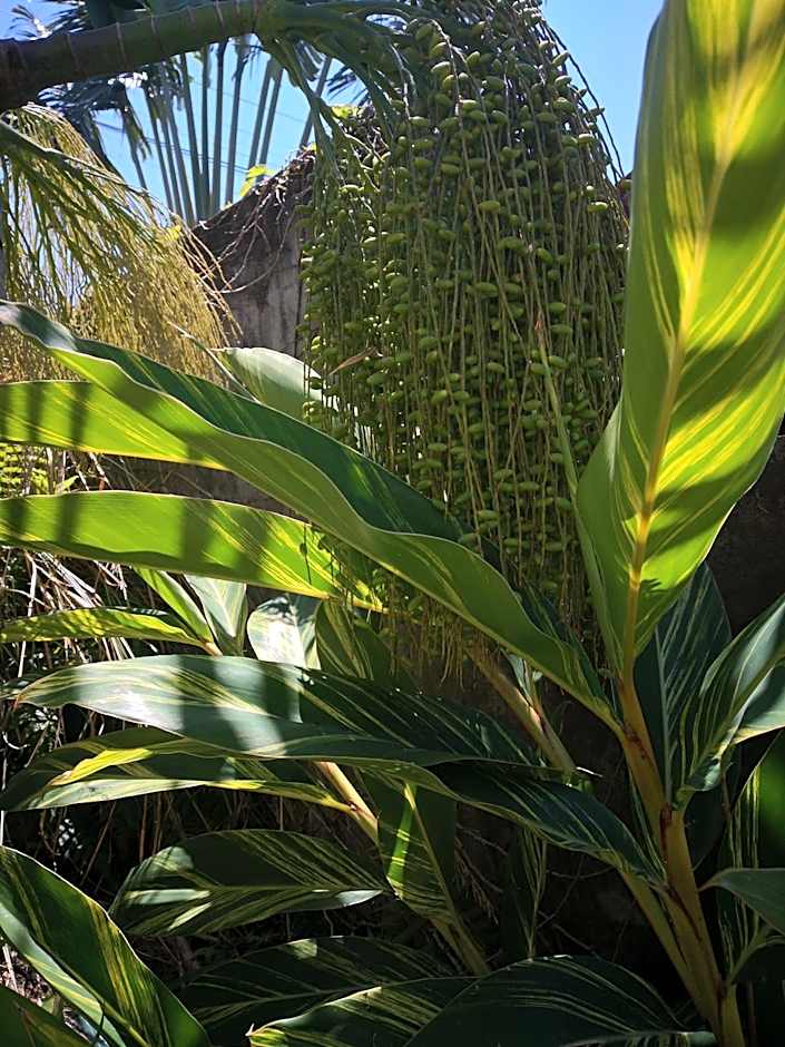 Villa Niagara avec Spa