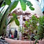 Riad Dar Mchicha