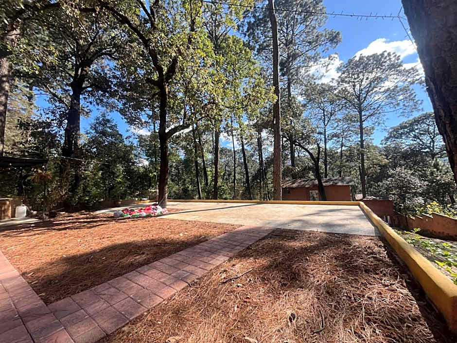 Bosque de Avandaro