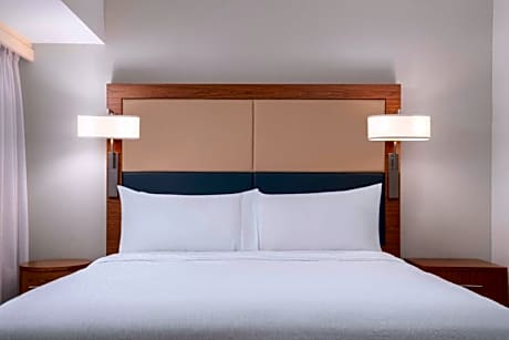 1 King Bed Studio Suite Nonsmoking