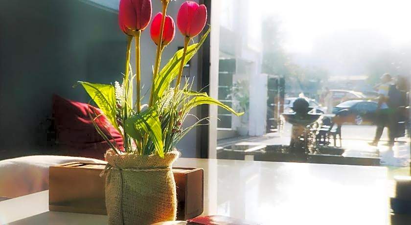 Beds In Garden Hostel