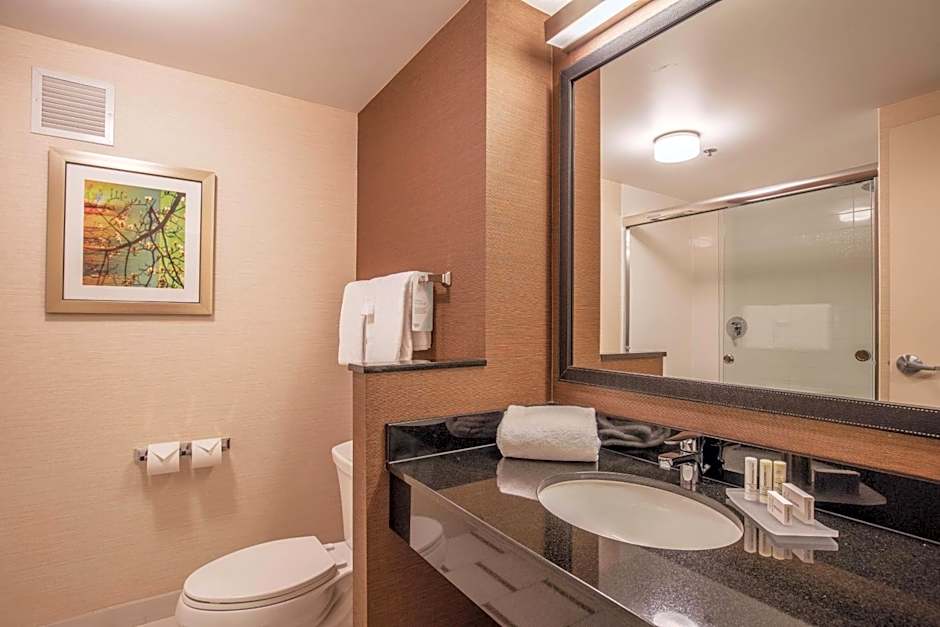 Fairfield Inn & Suites by Marriott Chicago Downtown/River North