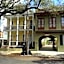 The Prytania Oaks