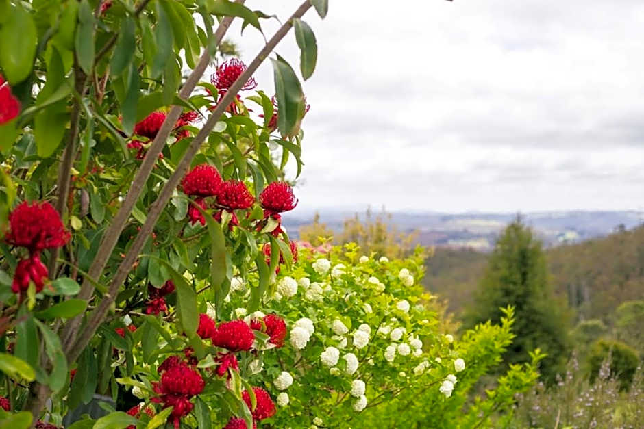 3 Hills at The Good Place