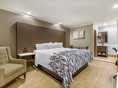 Deluxe King Bed with Kitchen Non-Smoking