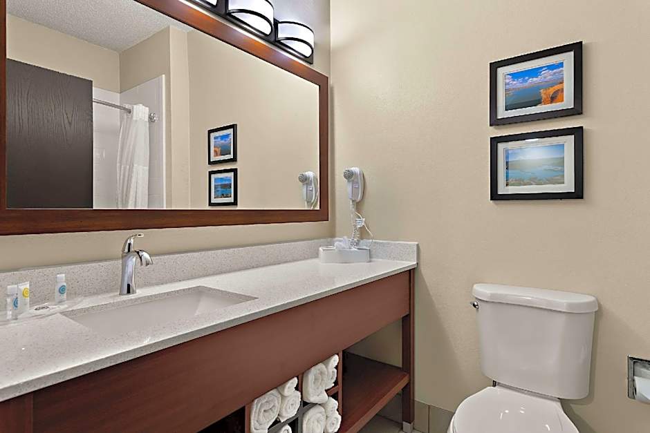 Comfort Suites   University