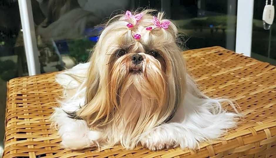 Edificio Casablanca, near T-63 Avenue, Shopping, Drugstore, Hospitals