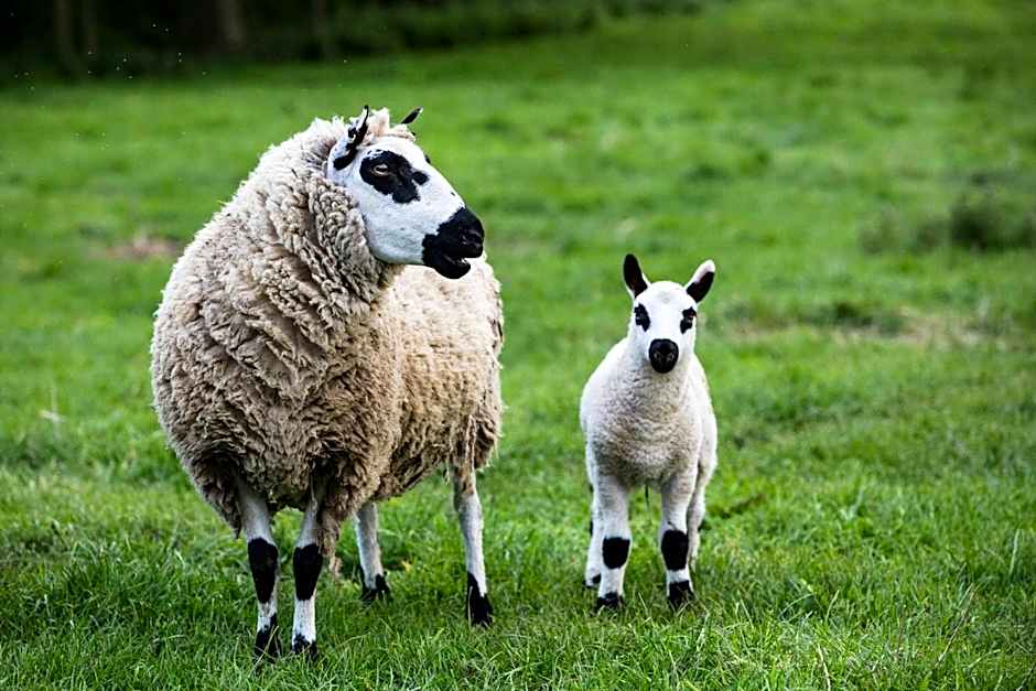 Mount Brandon Hostel