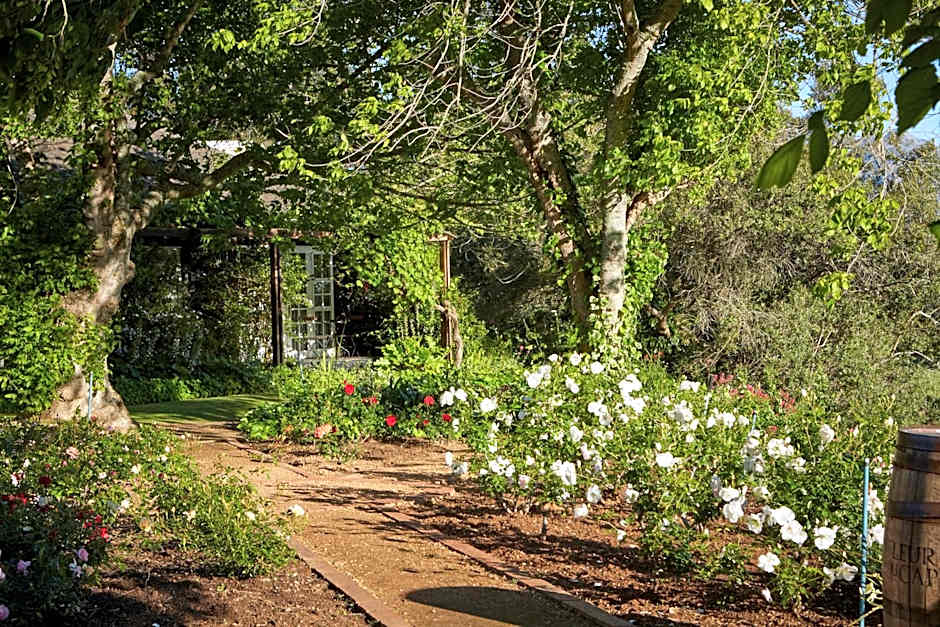 The Devon Valley Hotel