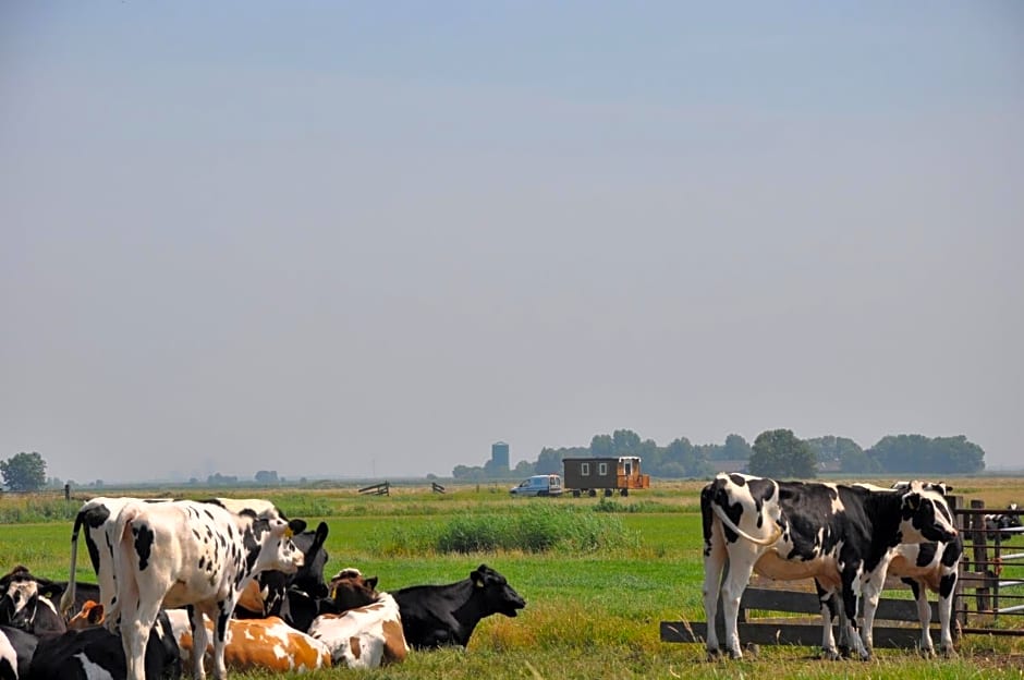 Your Cozy Waggon at the Cows' Paradise