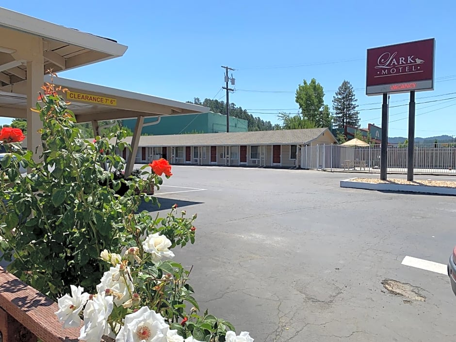 Lark Motel Willits