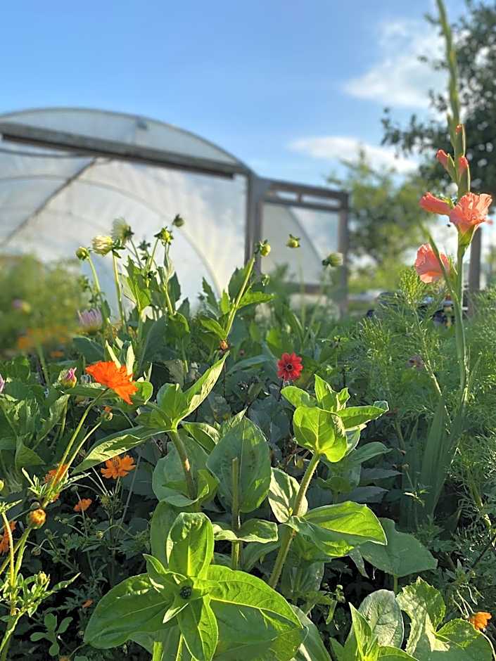 The Talbot at Knightwick