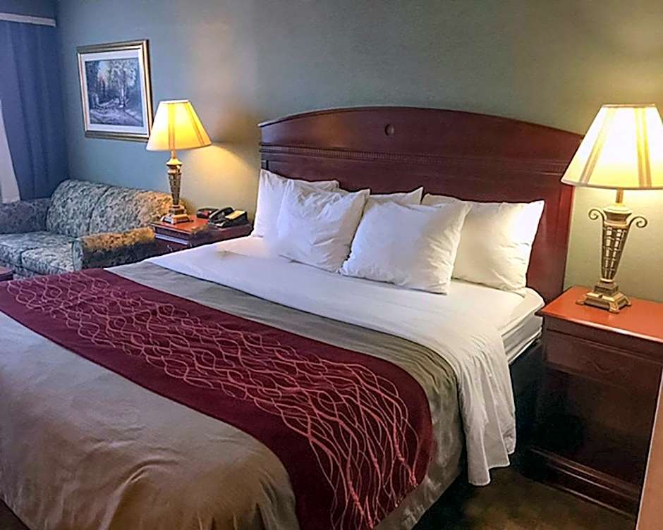 Comfort Inn Springfield