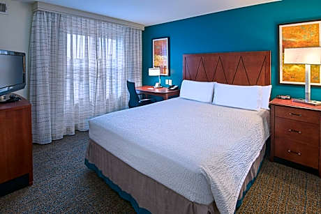 Studio, 1 King Bed with Sofa bed (1 King Bed and 1 Double Sofa Bed)