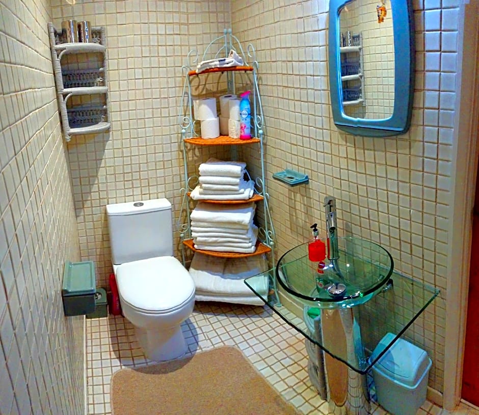 The Blue Palms - Fistral Beach