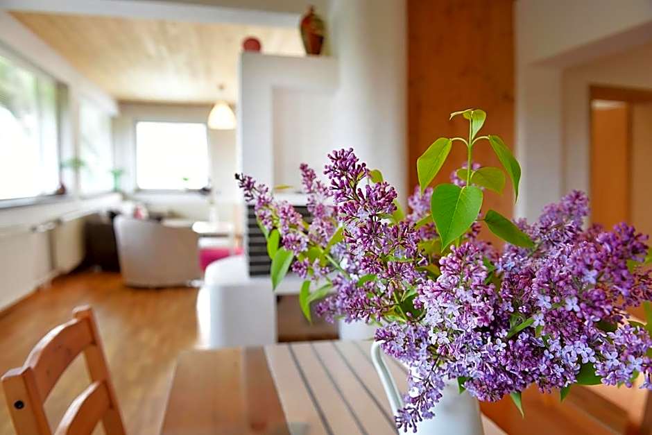 Borová Sihoť ATC and penzion