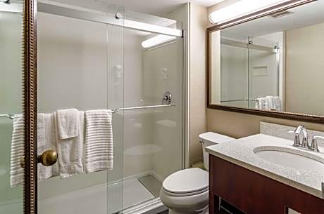 King Room - Non-Smoking