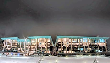 Silver Mountain G1 43