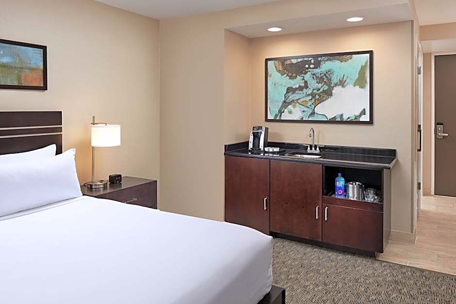 Hilton Houston Plaza/Medical Center