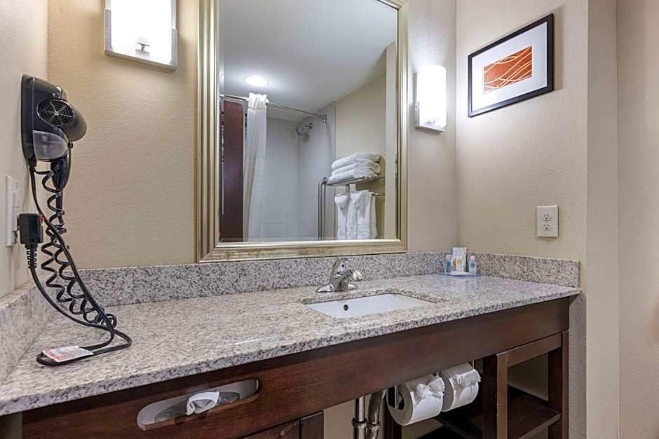 Photo 1 of 4 of 1 King Bed Suite, Accessible