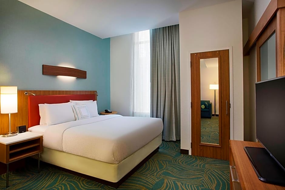 SpringHill Suites by Marriott Houston Downtown/Convention Center