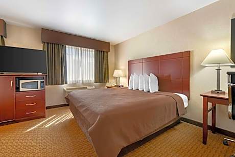 Deluxe King Suite with Sofa Bed - Non-Smoking