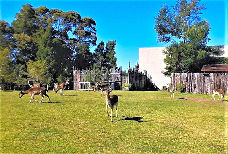 Green Hills Forest Lodge