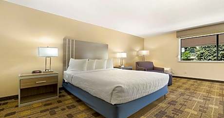 King Room - Non-Smoking