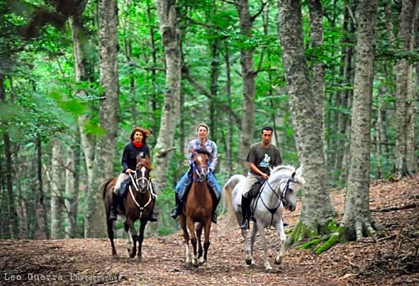 B&B Una Rotonda sul mare
