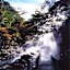 Oyasukyo Onsen Ryokan Tarobee - Vacation STAY 56764v