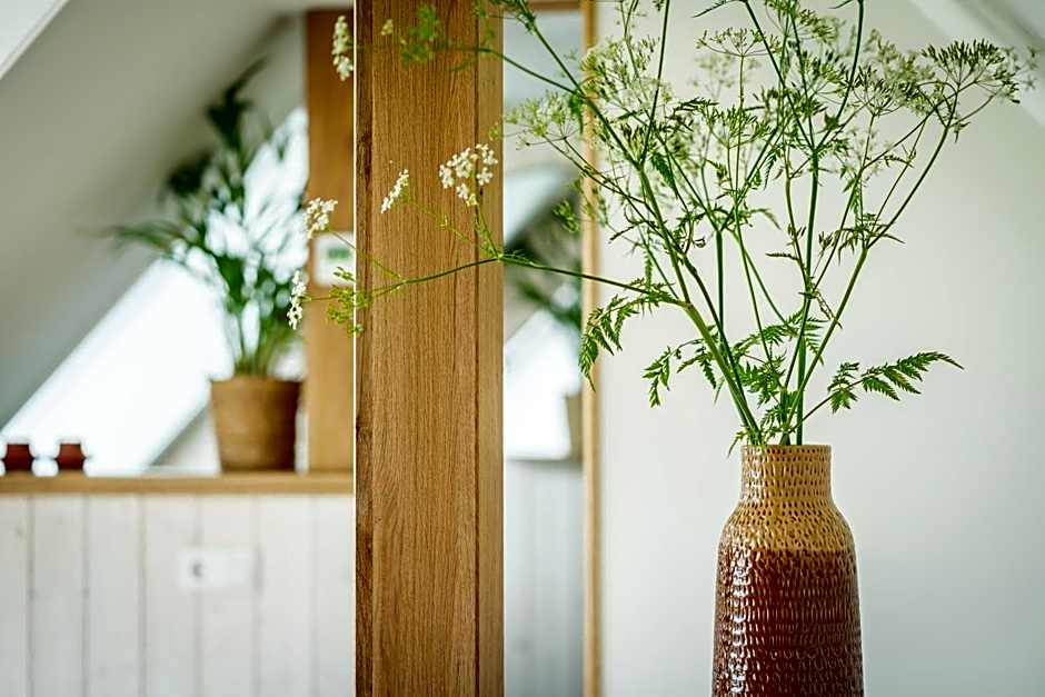 Wijngaard de Kroon van Texel