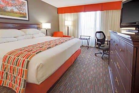 Deluxe King Room - Accessible, Tub