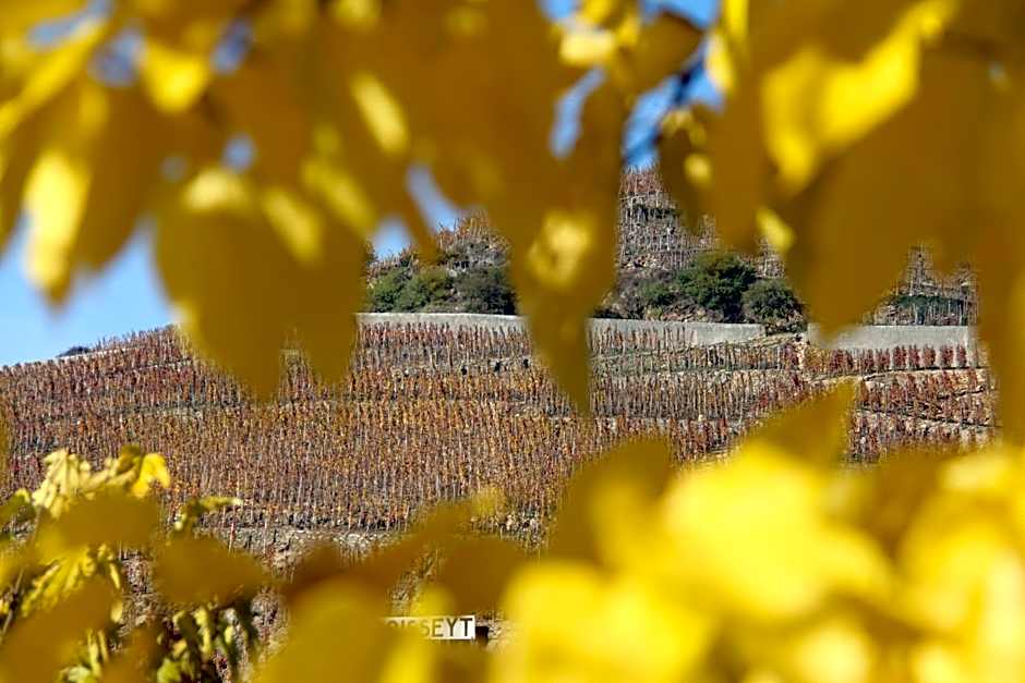 Hotel Le Domaine des Vignes Ampuis Lyon Sud Vienne