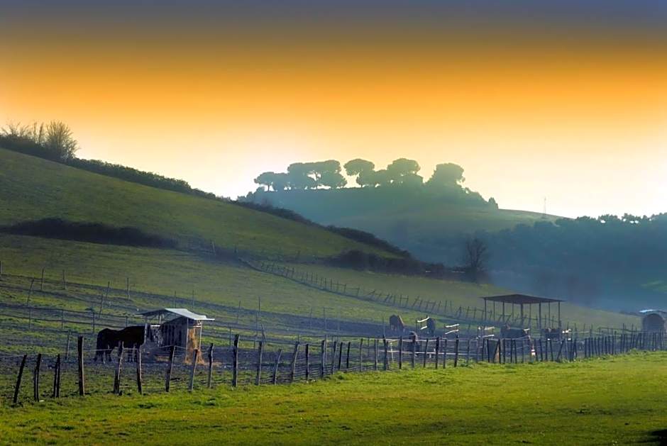 Tenuta Agricola Fonte Di Papa