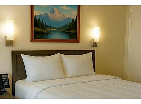 1 King Bed | Mob Acc RI Shwr Nsmk Micfridge