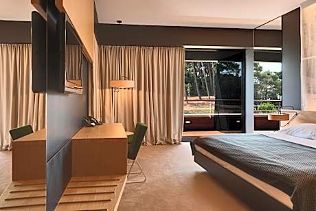 Premium Accessible Room