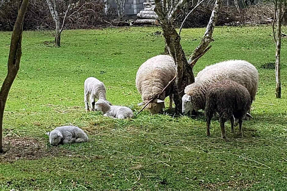 Cabana Rústica - Sitio Kayalami