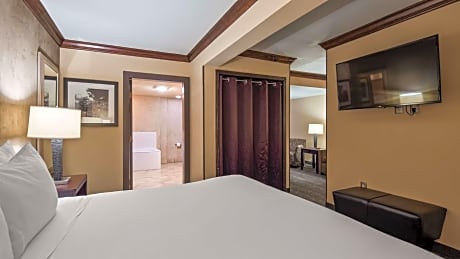 Suite-1 King Bed - Non-Smoking, Sofabed, Microwave And Refrigerator, Wi-Fi, Full Breakfast
