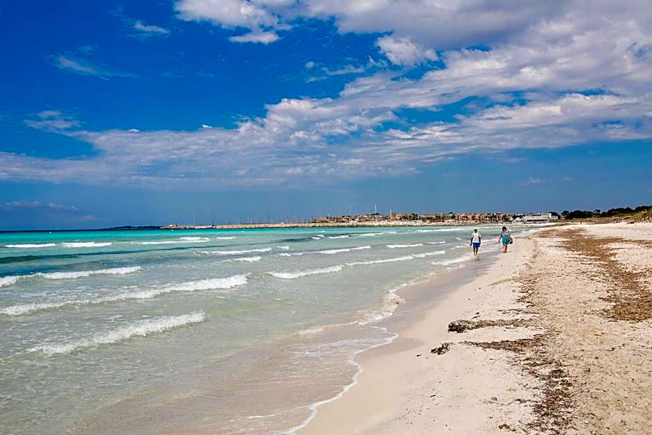 Torre Marina (Alga Marina)