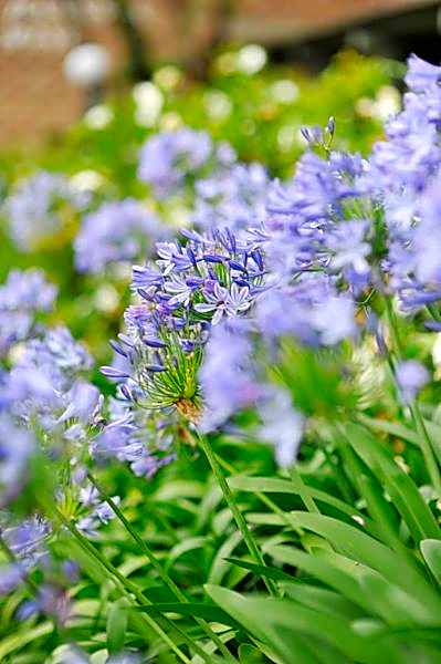 The Select Inn Gosford